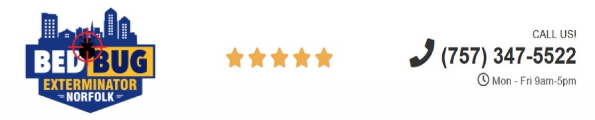 Bed Bug Exterminator Norfolk